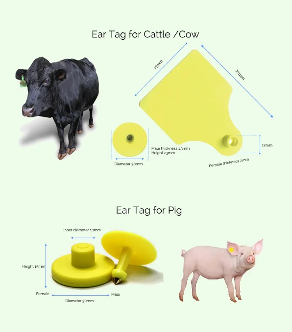 RFID Ear Tags Plastic Cattle Goat Cow Sheep Pig Tag For Management